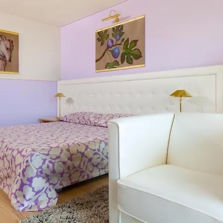 Hotel Hotel Ascona Ascona