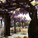 Hotel Ascona 4* Ascona