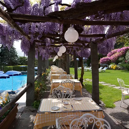 Hotel Hotel Ascona Ascona