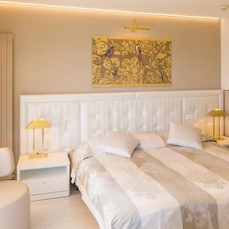 阿斯科纳酒店 酒店 阿斯科纳