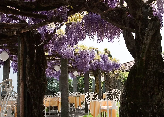 Hotel Ascona 4* Аскона